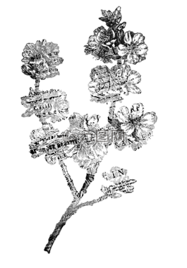 花,古董,廢料
