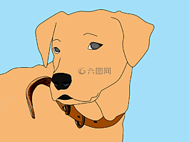 動(dòng)物,卡通,狗