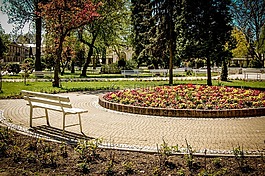 工作臺,公園,間隔