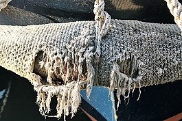 網絡,魚,遺跡