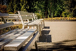 工作臺,公園,間隔