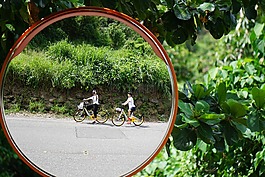 反思,自行車,運動
