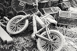 自行車,凍結(jié),冬天