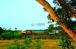 火車,旅行,鐵路