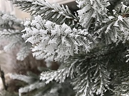弗羅斯特,冬季,雪