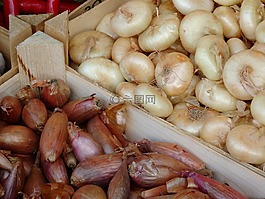 洋蔥,蔬菜,市場