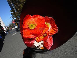 花,銷售,紅色