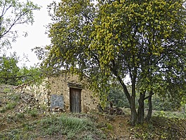 barraca,小木屋,牧歌