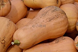 南瓜,水果,橙