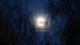 夜,月亮,月光