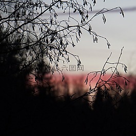 黃昏,輪廓,模糊
