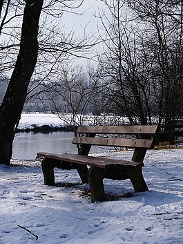 冬天,雪,阿爾高