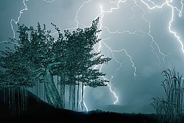 閃光,轉(zhuǎn)寄,天氣