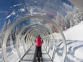 電梯,跑步機,滑雪