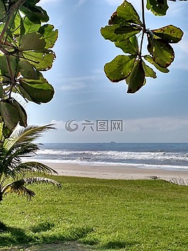 mar,水,海灘