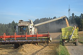 收獲,拖拉機(jī),農(nóng)業(yè)