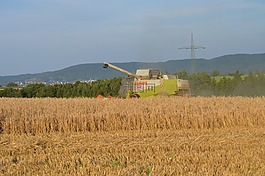收獲,拖拉機(jī),農(nóng)業(yè)