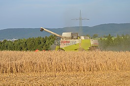 收獲,拖拉機(jī),農(nóng)業(yè)