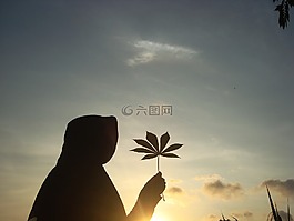 剪影,日出,人的