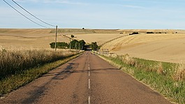 景觀,法國,路