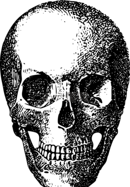 骨,游戏资源调用,骨架