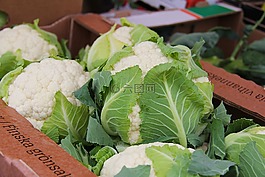 花椰菜,波尔沃,芬兰