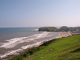 海灘,地平線,景觀