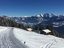 瑞士,雪,高山