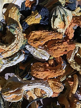 葫蘆,萬圣節(jié),橙色