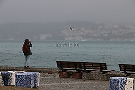 海,鳥,水