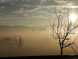 日出,霧,清晨的陽光