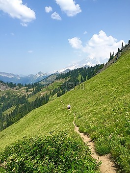 草甸,徑,山
