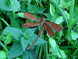 不锈钢,gartendeko,花园装饰