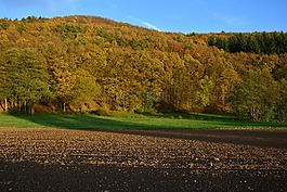 耕地,ackerfurchen,農業