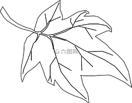 楓,葉,大綱
