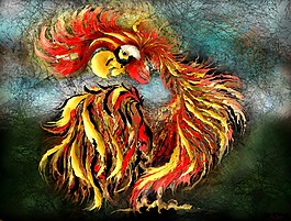 哈恩,羽状,颜色