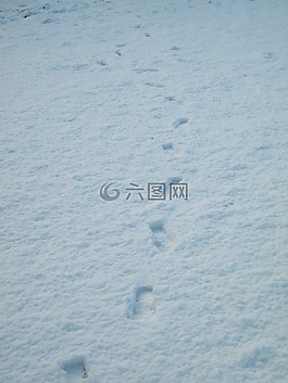 雪,腳印,路徑