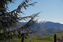 法国,东比利牛斯,canigou