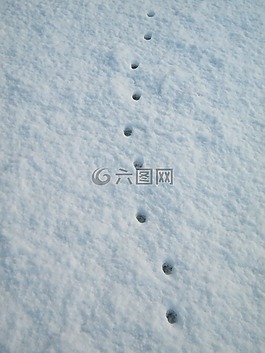 品牌,雪,踏板