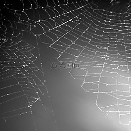 web,灰色,建設(shè)