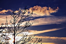 云,粉红色,天空