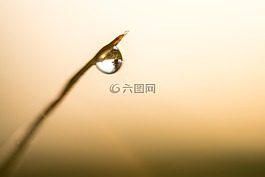 下降,反思,草