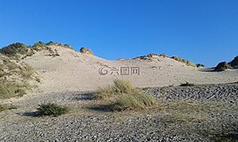 沙丘,假日,野生