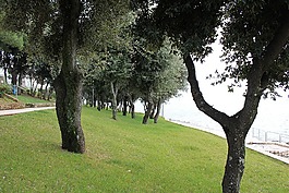 海灘,公園,地中海