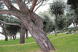 海灘,公園,地中海