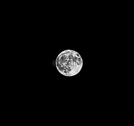 月亮,丰满的,夜