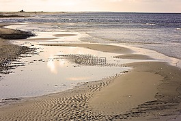 波羅的海,海灘,沙
