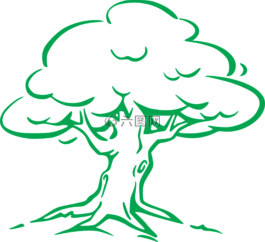 奧克,樹,生態(tài)