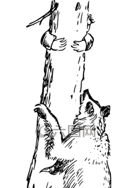 熊,追逐,攀登