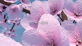 櫻桃樹,攪拌器,3d